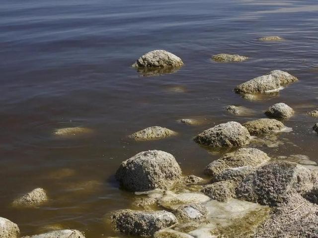 cod是什么污染物，cod測定儀如何使用？