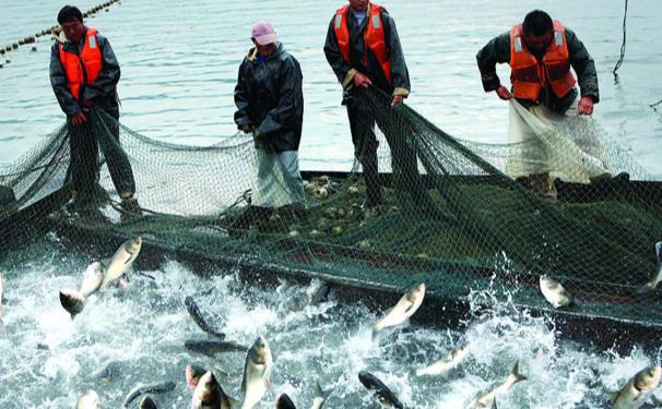 溶解氧測(cè)定儀對(duì)水質(zhì)的重要性