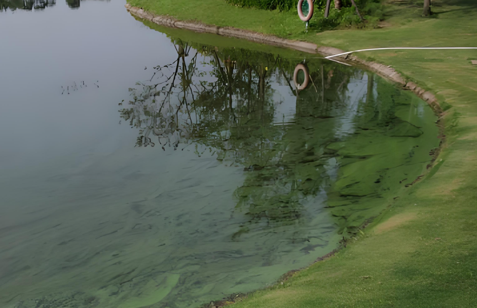 水質(zhì)砷超標(biāo)的危害有哪些？